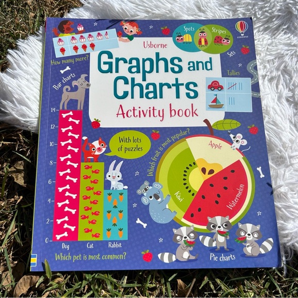🩶5/$30 Usborne Graphs and Charts Activity Book for Kids by Darran Stobbart NEW - Picture 1 of 8